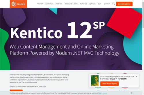 Kentico .NET based cms